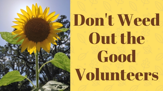Don't Weed Out the Good Volunteers