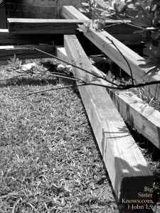 Crosses found behind a little church in Juliette, GA. (Photo by Ashley Jones)
