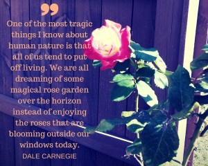 Photo and design by Kristen Hogrefe