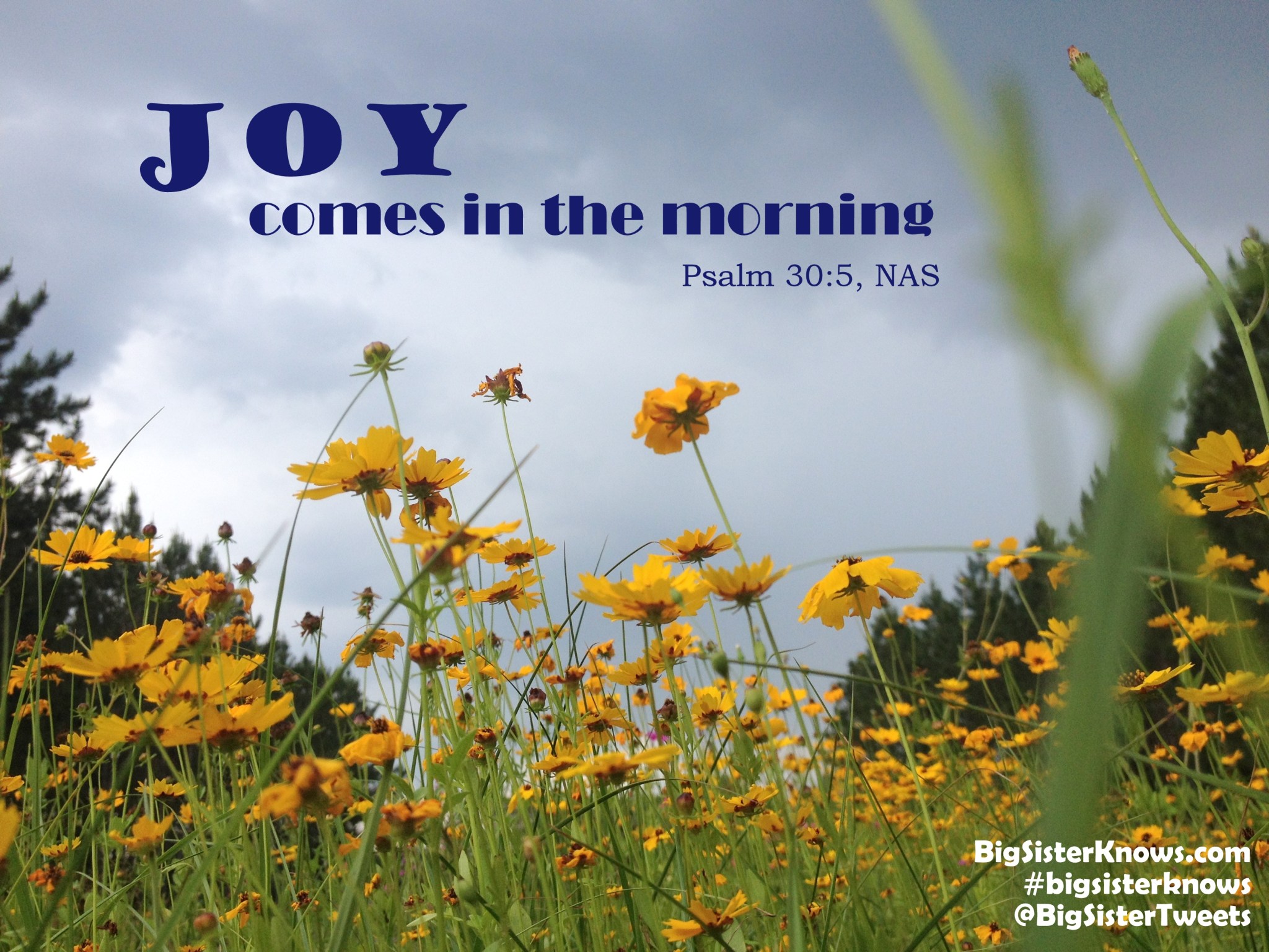 Jones_GiveBreak.050216