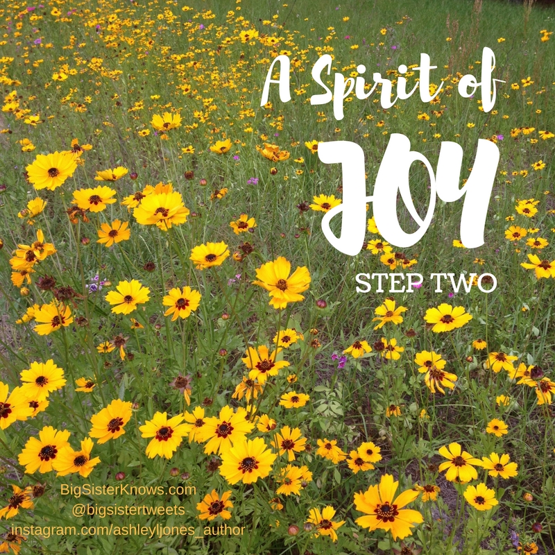 a-spirit-of