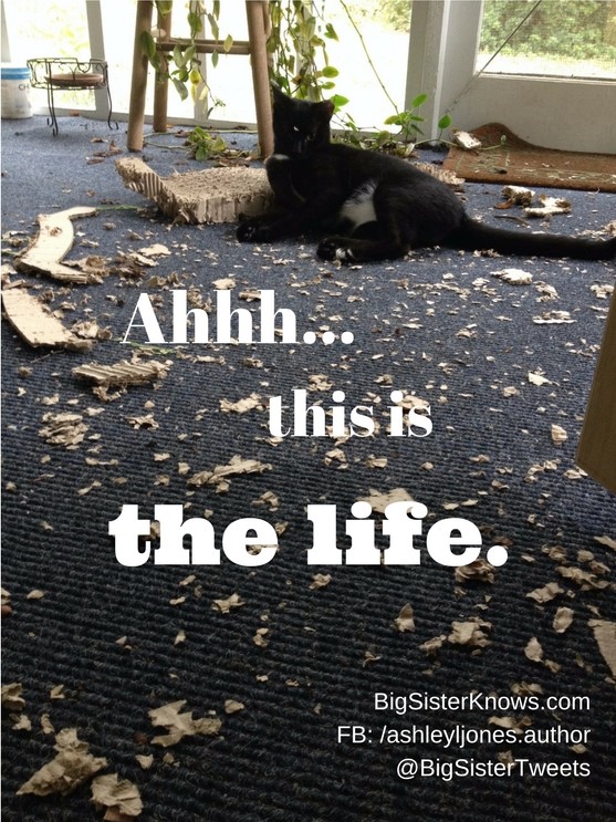 Penny_Disappointment