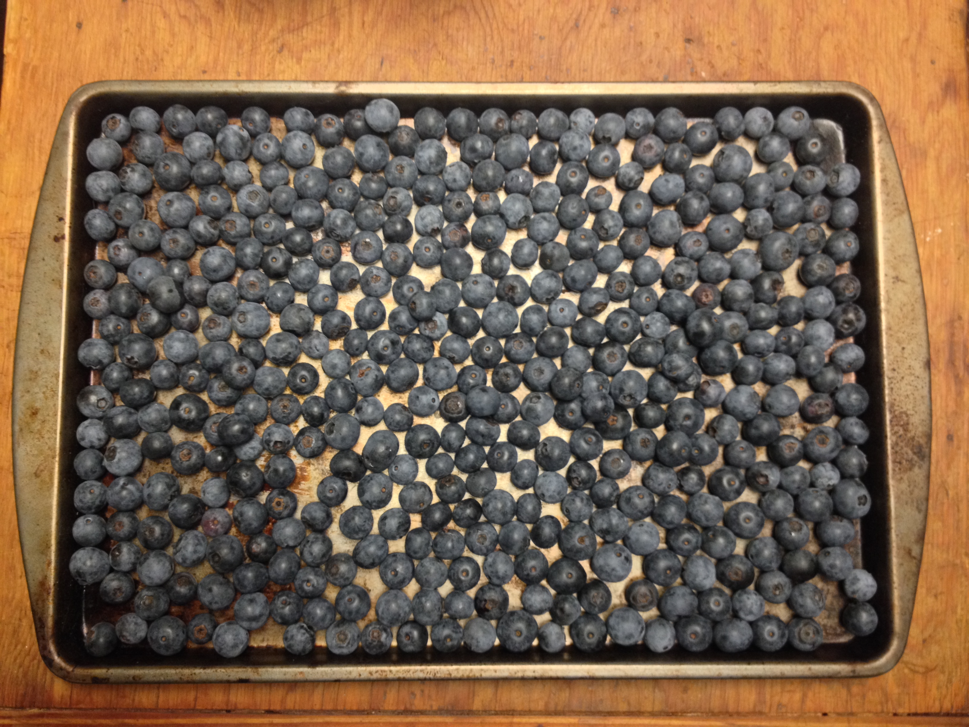 Blueberries_1